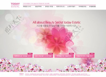 艺术花朵网页