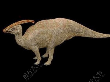 动物恐龙爬行类3d模型素材免费下载恐龙模型素材10