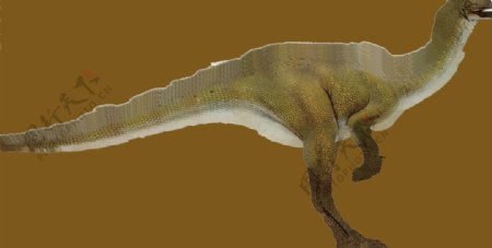 动物恐龙爬行类3d模型素材免费下载爬行类模型素材19