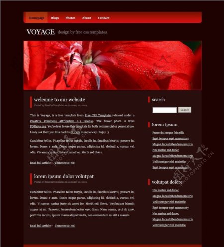 暗红色信息BLOG网页模板