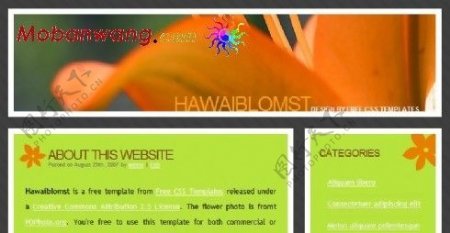 夏威夷芙蓉花BLOG网页模板