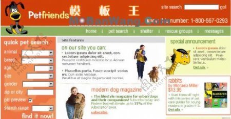 欧美宠物家园网站模板