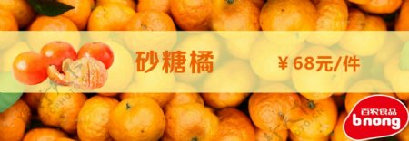 砂糖橘橘子水果推广宣传特价图片