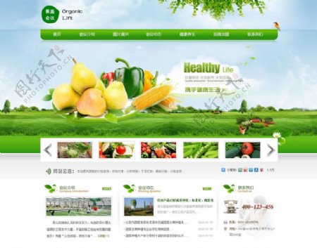 绿色果蔬网站图片