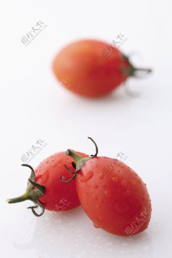 小西红柿图片