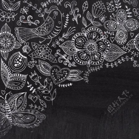 粉笔在黑板上板书观赏花角圆的花边图案