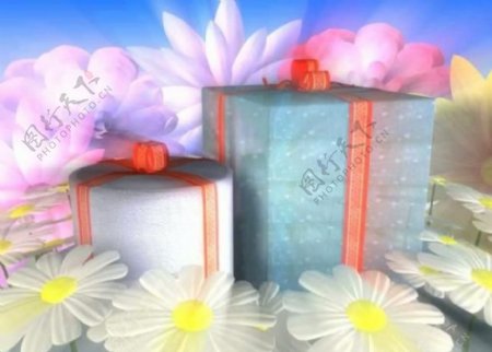 鲜花礼包礼物视频背景图片