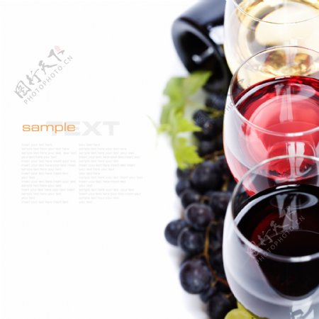 葡萄酒高清设计图片素材