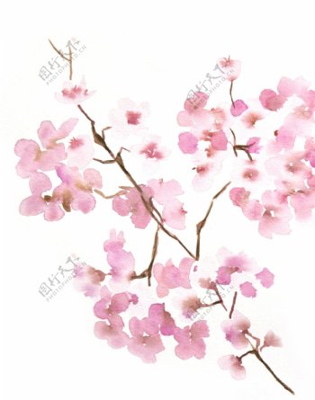 位图植物写意花卉花朵桃花免费素材