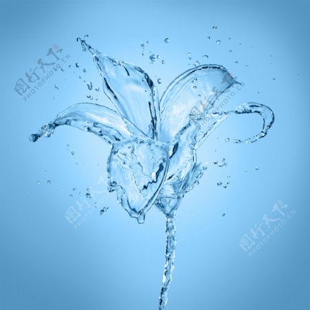 花造型的水