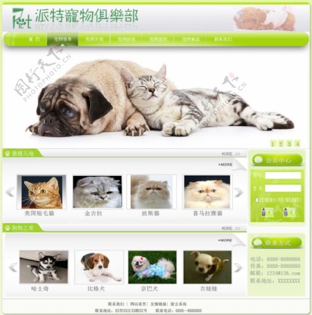 宠物网站图片
