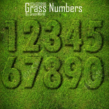 绿色草地数字