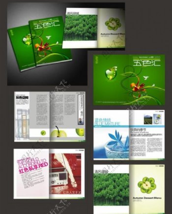 绿色健康杂志图片
