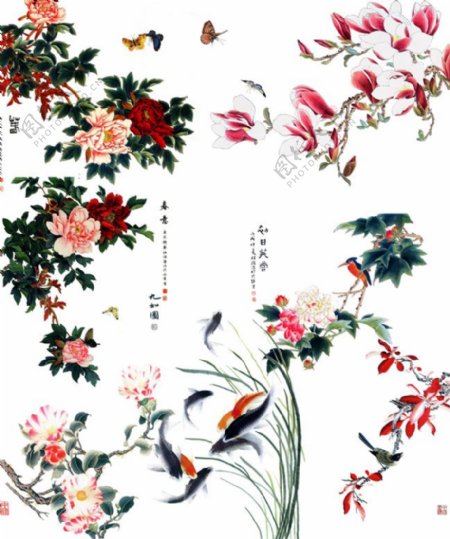 中国风工笔花鸟画图片