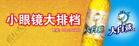 青岛大白鲨啤酒图片