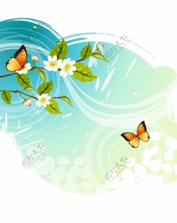 蝶与花图片