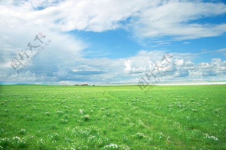 霍林河草原图片