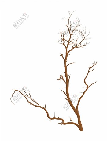 死树的树枝