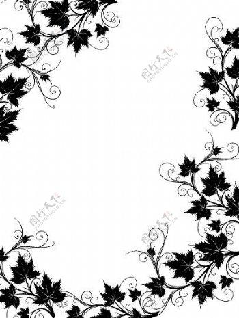 黑色和白色的藤类植物花边边框矢量素材