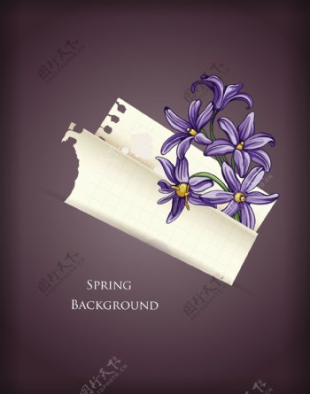 花卉背景矢量图和春天的花朵和撕纸
