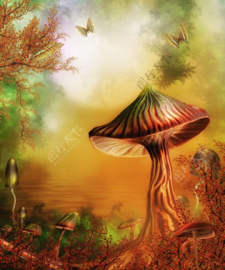 梦幻童话影楼背景蘑菇树蝴蝶红叶图片
