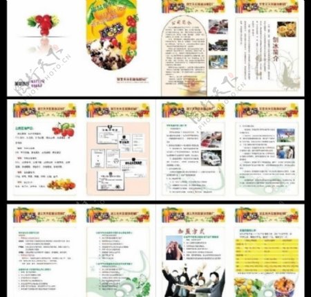 食品画册图片