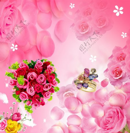 粉红花瓣图片