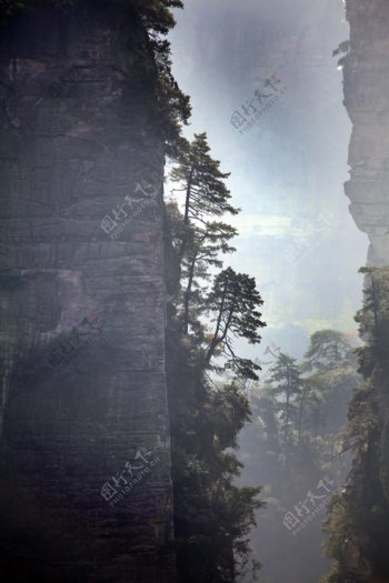 陡峭山峰树剪影图片