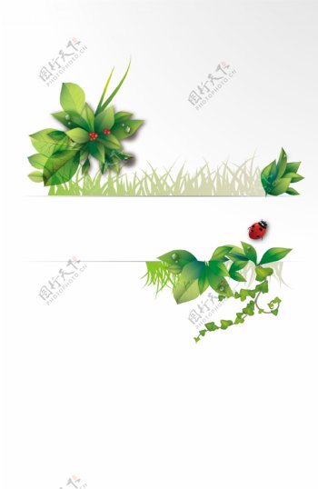 绿色植物分割线背景图