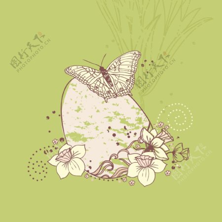 插画植物前的蛋和蝴蝶以及花朵