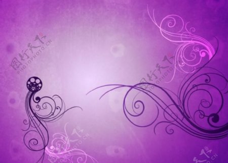 紫色花纹展开素材图片