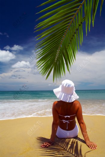 沙滩女人背影图片