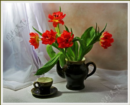 陶罐和花图片