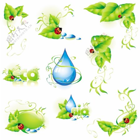 瓢虫与绿叶水滴矢量素材