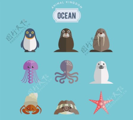 9款卡通海洋生物矢量素材