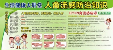 H7N9禽流感海报展板素材