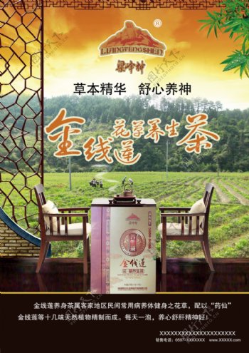 金线莲养生茶广告PSD宣传海