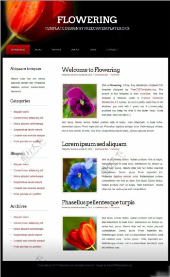 鲜花摄影展示类网页