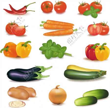 手绘蔬菜矢量图片