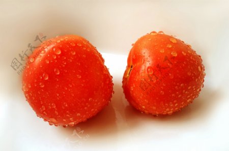 沾满水露的西红柿图片