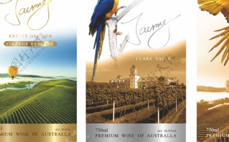 红酒瓶贴标签葡萄种植园系列鹦鹉图片