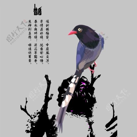印花矢量图动物图案喜鹊鸟中文免费素材