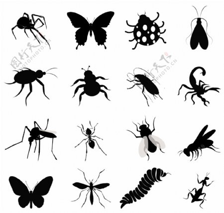 多种昆虫剪影矢量图片EPS