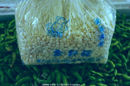 金针菇菌类食品图片