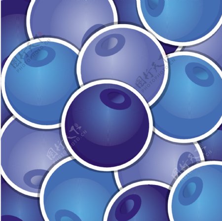 矢量格式的蓝莓背景卡