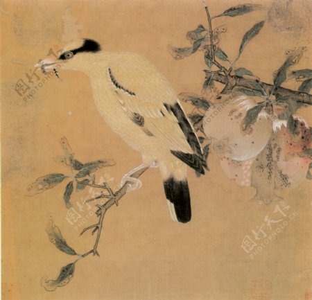 榴枝黄鸟图图片