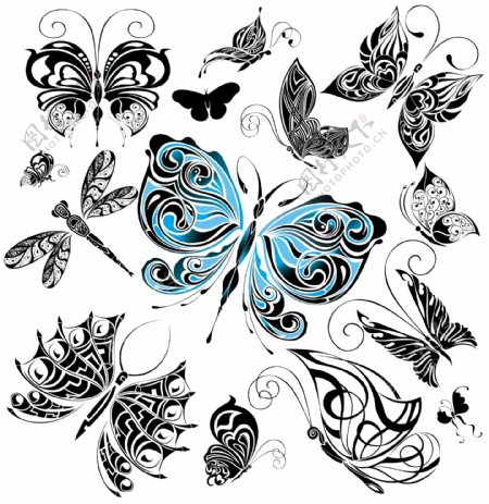 精美的手绘蝴蝶矢量素材