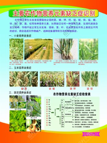 农业技术展板图片