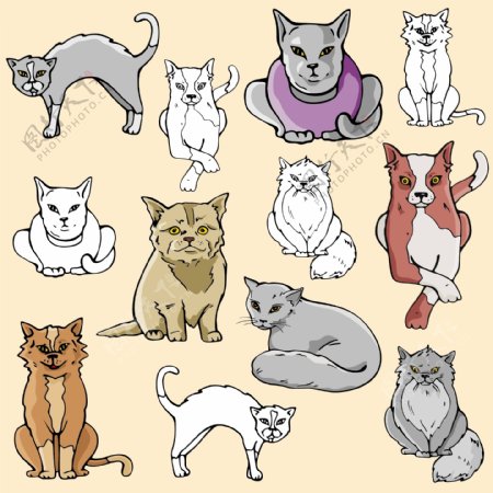 卡通猫猫矢量猫