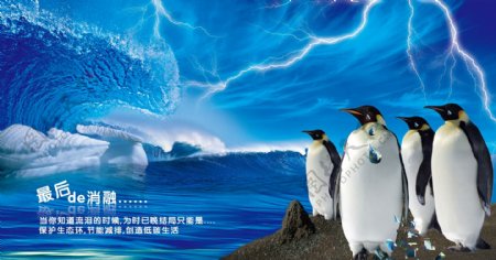 企鹅环保海报图片